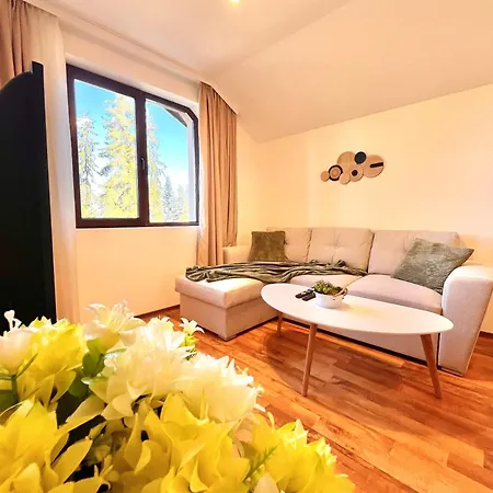 Cozy Ski-close Nest * Pamporovo